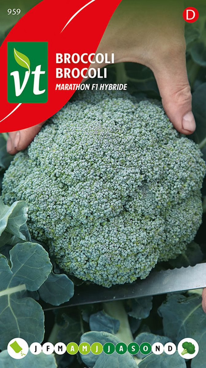 Broccoli Marathon F1 hybride zaden voor een hoge opbrengst