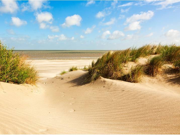 Fototapete PAPERMOON Dunes Knokke-Heist , bunt, B:3m L:2,23m, Vlies, Tapeten, Fototapete