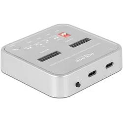 Delock Klon DS, SSD + Festplatte Zubehör