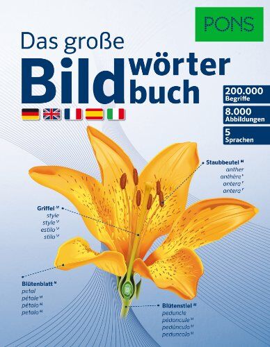 PONS Das Große Bildwörterbuch: 200.000 Begriffe in 5 Sprachen - Deutsch, Englisch, Französisch, Spanisch, Italienisch - Preis vom 04.10.2026 03:51:26 h