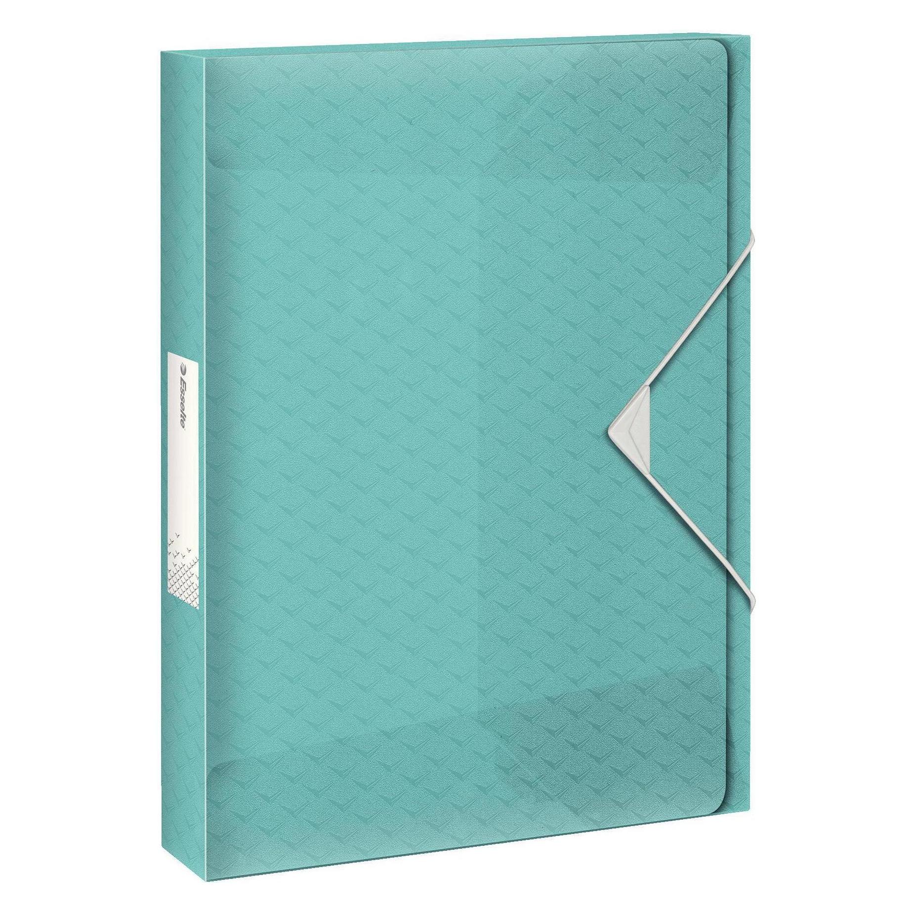 Esselte Ablagebox (A4) (626259)