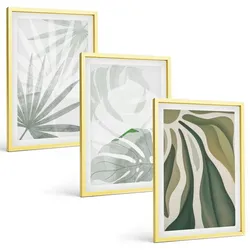 BILDER SET 3er Set - 40x60 cm Goldrahmen - Blätter von Pflanzen in Grün und Grau
