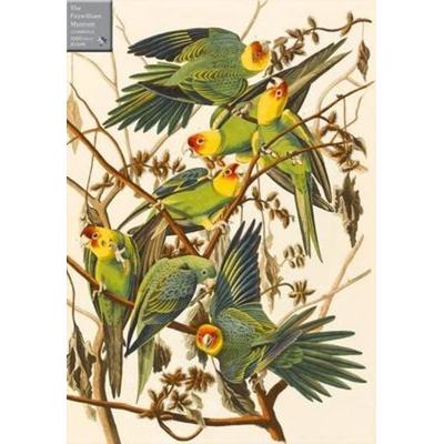 Carolina Parakeets 1000 Piece Jigsaw Puzzle