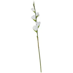 Kunstblume  Gladiole   ¦ weiß ¦ Kunststoff,Eisendraht ¦ Maße (cm): H: 84
