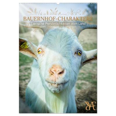 Bauernhof-Charaktere - Tierische Persönlichkeiten vom Land (Wandkalender 2027 DIN A2 hoch), CALVENDO Monatskalender