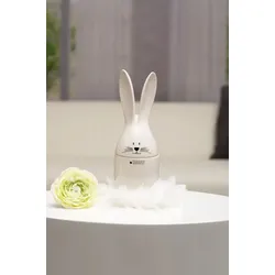Dose Hase Frediano creme 25cm