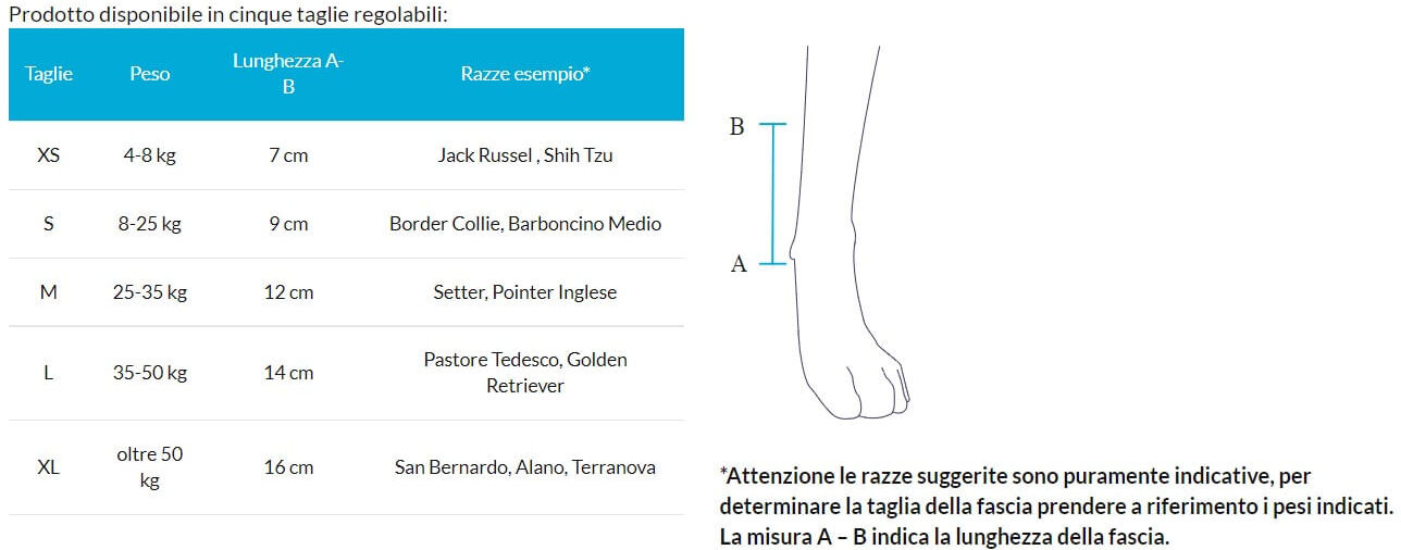Balto Tutore Joint Carpo per Cane M