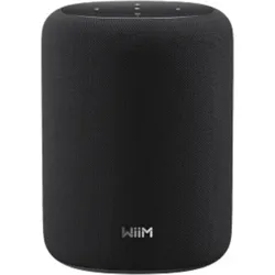 WiiM Sound lite black schwarz (Airplay, Bluetooth, Chromecast, WLAN), Multiroom System, Schwarz