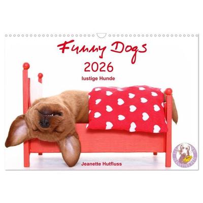 Funny Dogs (Wandkalender 2026 DIN A3 quer), CALVENDO Monatskalender