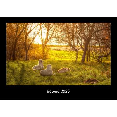 Bäume 2025 Fotokalender DIN A3