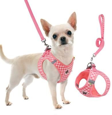 Uplift Essentials Professional Adjustable Reflective Kitten Chest Strap & Leash Set coffee l