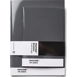Pantone Gepunktete Notizbücher grau 2 St.
