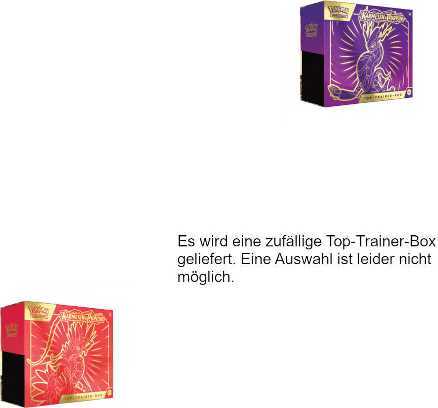 Pokemon Karmesin & Purpur - Top-Trainer-Box Koraidon oder Miraidon DE