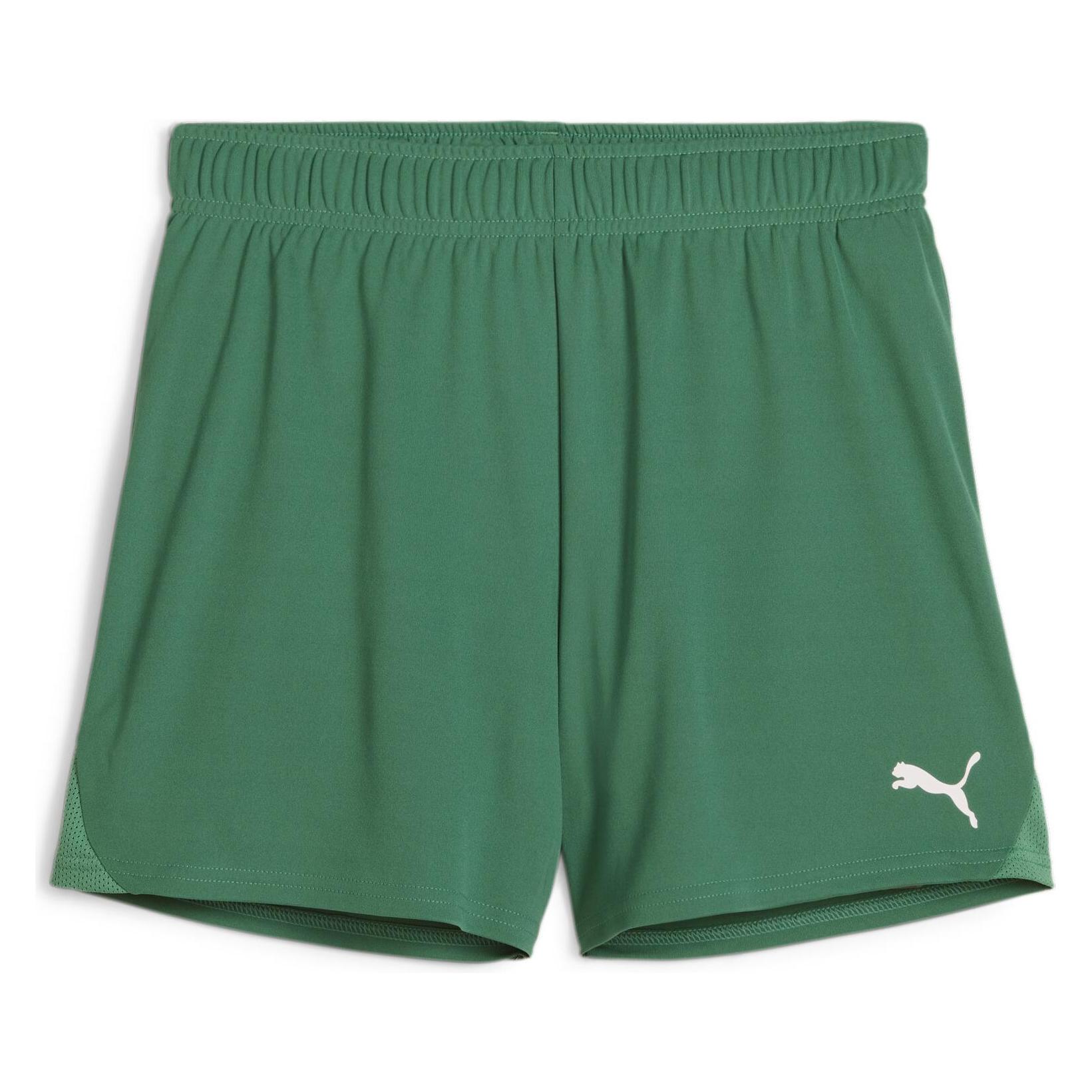 Puma teamGOAL Handball Shorts W (S) (706019_05)