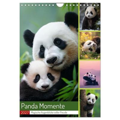 Panda Momente (Wandkalender 2027 DIN A4 hoch), CALVENDO Monatskalender
