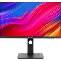 AG neovo DW-2401 24IN IPS 2560X1440 300 (2560 x 1440 Pixel, 23.80"), Monitor, Schwarz