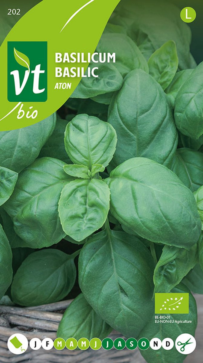 Basilicum Aton Bio - Biologische basilicum voor Italiaanse gerechten