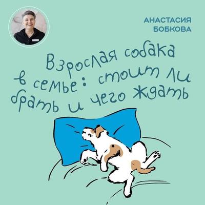 Vzroslaya sobaka v sem'e: stoit li brat' i chego zhdat' - Anastasiya Bobkova, Audio, 9785041804398