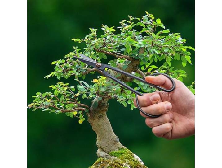 Bonsai twig shears slim - 20,5 cm - Bonsai tool