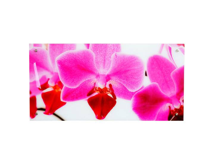 Jamb Glasbild Orchide Mehrfarbig, Glas, 100x50 cm, Bilder & Rahmen, Bilder, Glasbilder