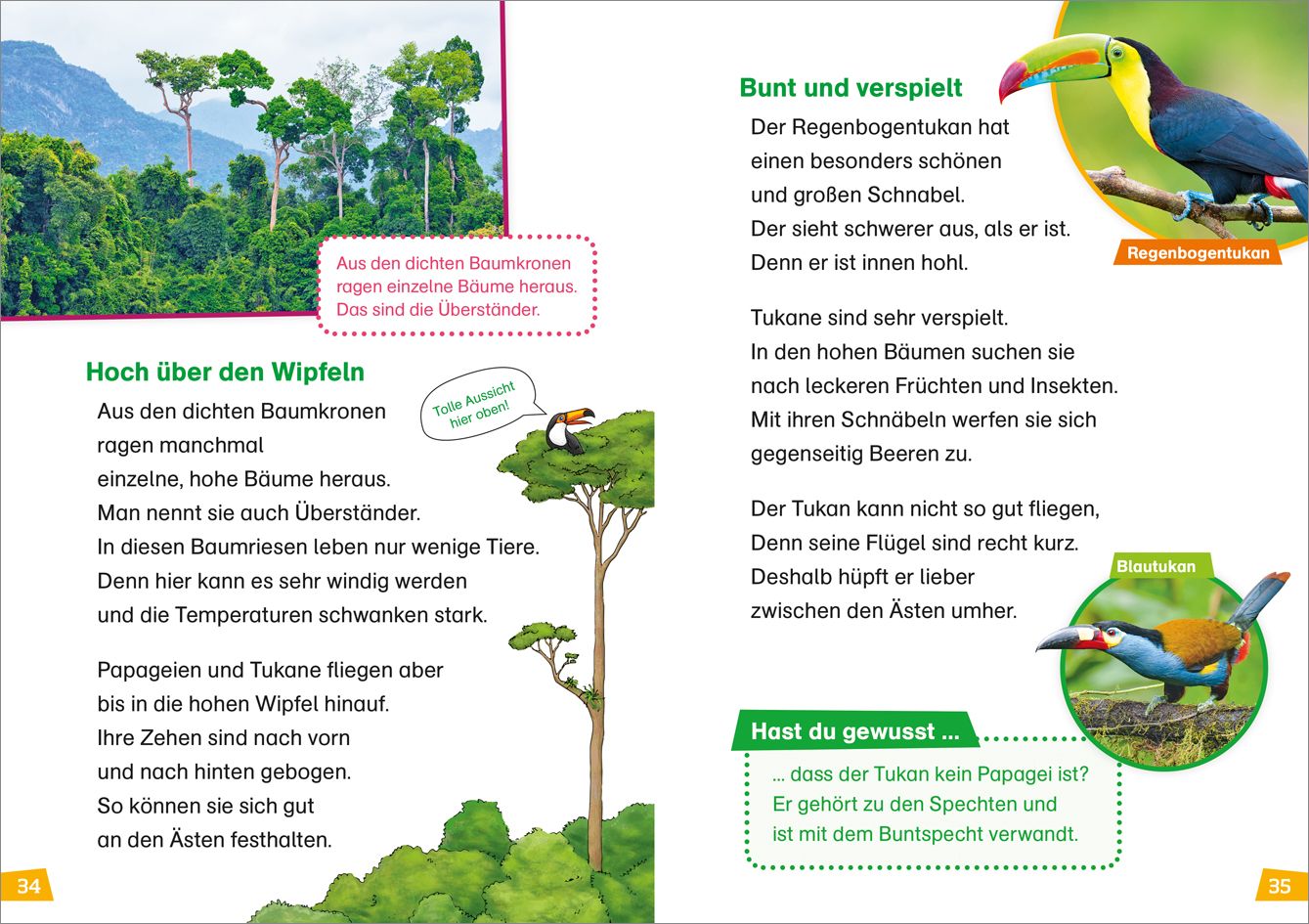 Tessloff Verlag WAS IST WAS Erstes Lesen Band 15. Regenwald