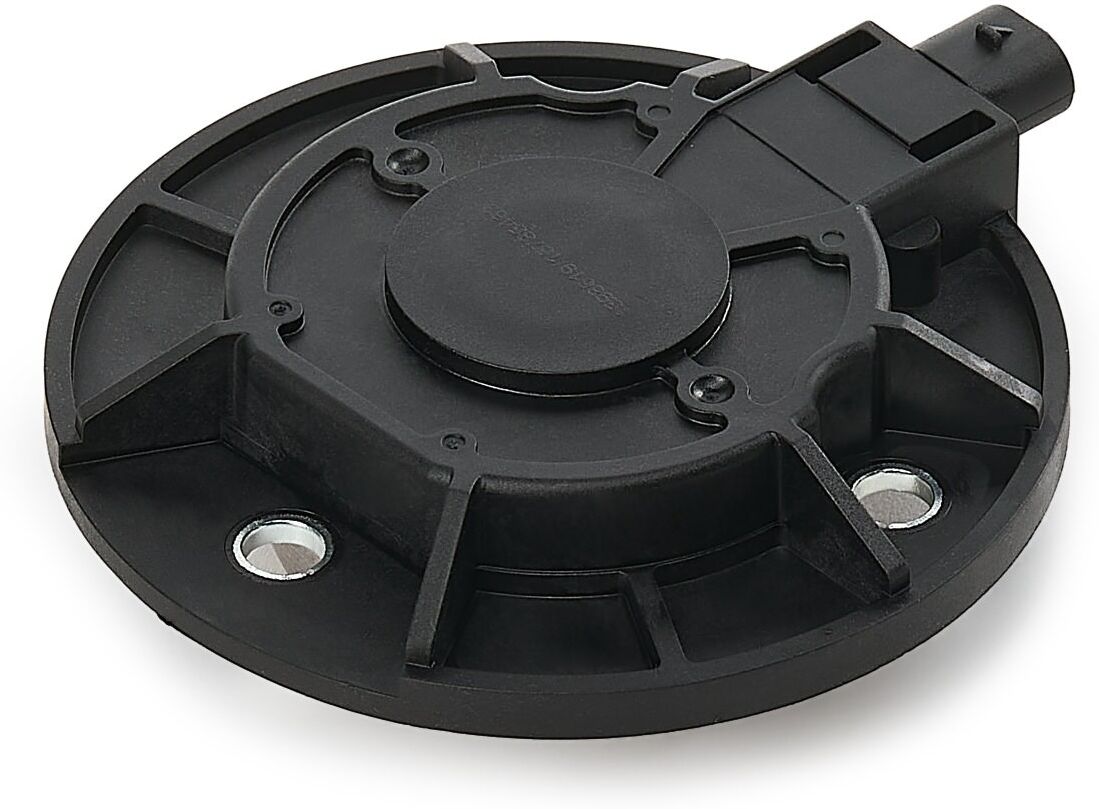 RIDEX 4229C0004 Camshaft adjuster magnet
