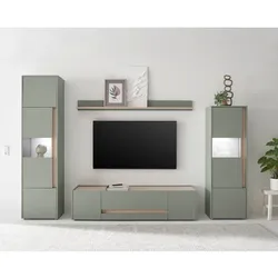 Wohnwand Wohnzimmerschrankwand in modernem Design - Graugrün (vierteilig)