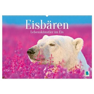 Eisbären: Lebenskünstler im Eis (Wandkalender 2027 DIN A2 quer), CALVENDO Monatskalender