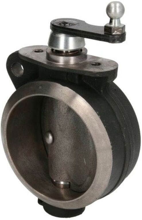 Abgasklappe, Motorbremse CZM 135813