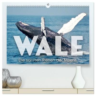 Wale - Die Riesen der Meere. (hochwertiger Premium Wandkalender 2027 DIN A2 quer), Kunstdruck in Hochglanz