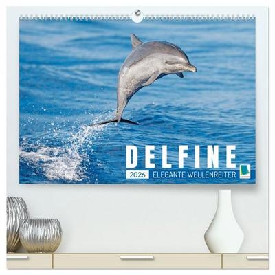 Delfine: Elegante Wellenreiter (hochwertiger Premium Wandkalender 2026 DIN A2 quer), Kunstdruck in Hochglanz