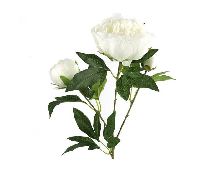 Countryfield zijden bloem Paeonia 73 cm wit