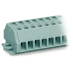 WAGO GmbH &amp; Co. KG 2-Leiter-Klemmenleiste 261-105