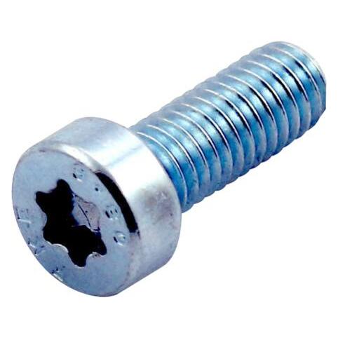 Cubic 100 CYLINDERSKRUE, TORX, LAVT HOVED (5705100144160)