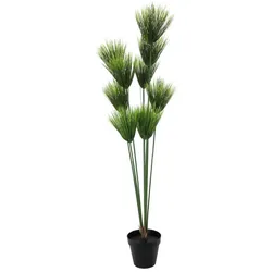 EUROPALMS Papyrus, künstlich, 150cm