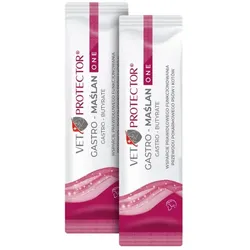 VET PROTECTOR® GASTRO – MAŚLAN ONE – Präparat zur Unterstützung der Verdauungsfunktion bei Hunden und Katzen, 3 ml