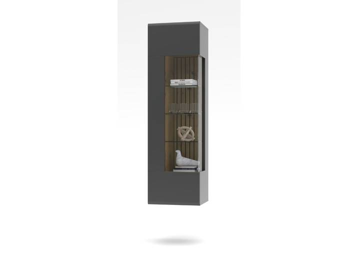 Wohn-Concept Evo Hängevitrine