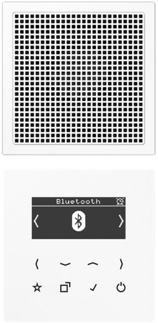 Jung Radio numérique DAB+ Smart Bluetooth SetMono1LS DAB LS1 BT WW (DABLS1BTWW)