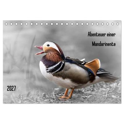 Abenteuer einer Mandarinente (Tischkalender 2027 DIN A5 quer), CALVENDO Monatskalender