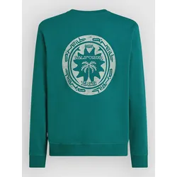 O'Neill Musthave Graphic Crew Sweater botanical heat Gr. S