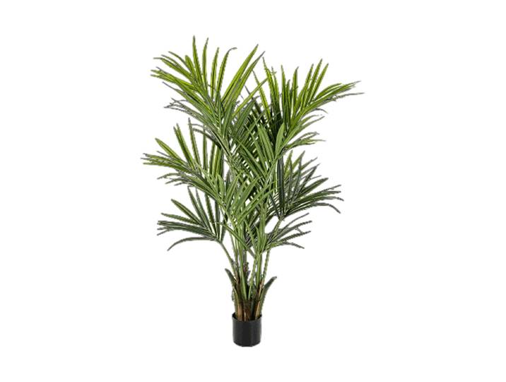 Lebensechte Kunstpflanze „Kentia Palm“, verschiedene Grössen Grün Baq Design