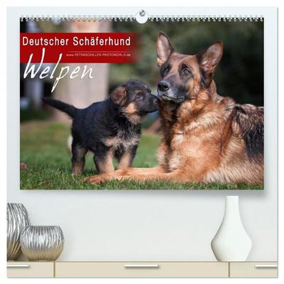 Deutscher Schäferhund - Welpen (hochwertiger Premium Wandkalender 2026 DIN A2 quer), Kunstdruck in Hochglanz