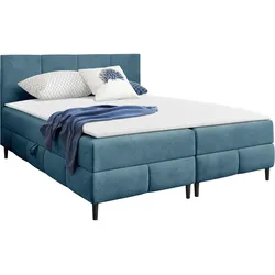 BOXBETT Box Best 2 - H3