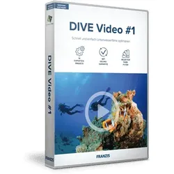 DIVE Video #1