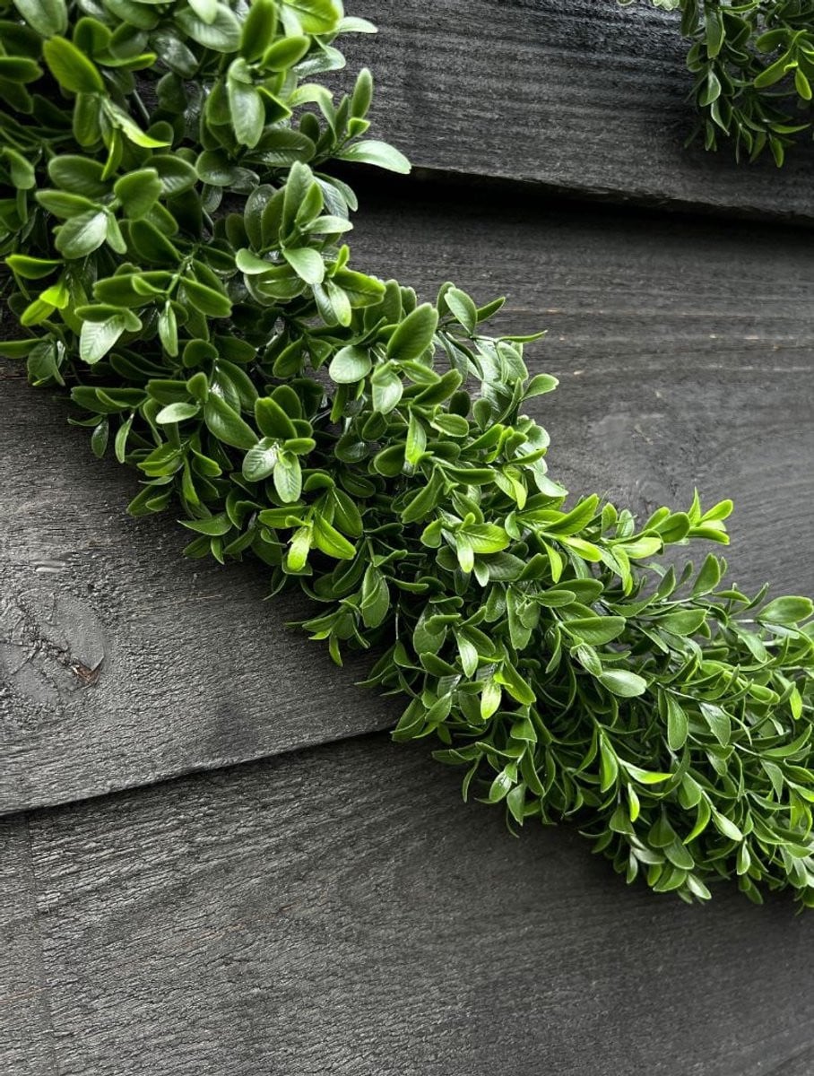 LeopoldFlora Buxus kunst guirlande, 180 cm, groen