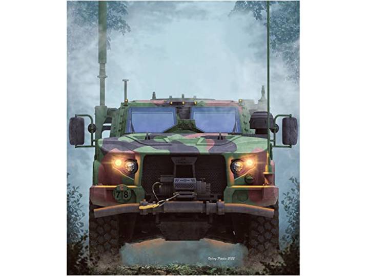 Rye field model - jltv