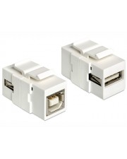 Delock Modularer Einschub Kopplung USB-Typ B USB Type A (86320)