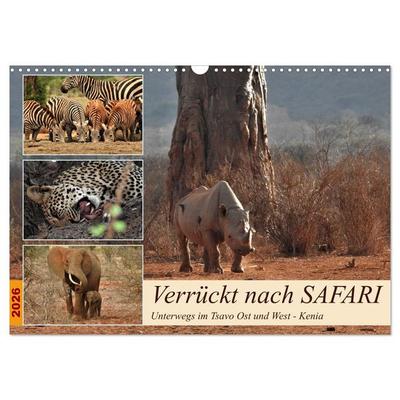 Verrückt nach SAFARI Unterwegs im Tsavo Ost und West Kenia (Wandkalender 2026 DIN A3 quer), CALVENDO Monatskalender