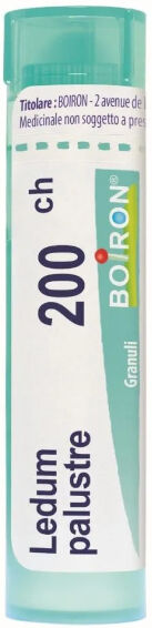 Ledum Palustre (Boiron) 80 Granuli 200 Ch Contenitore Multidose