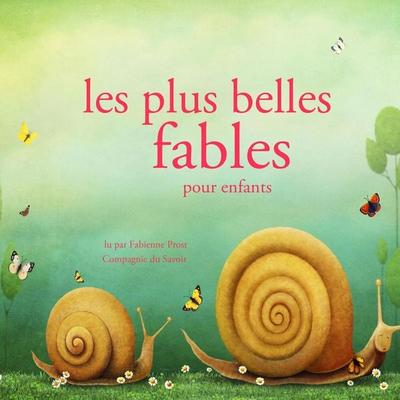 Les plus belles fables pour enfants - Hans Christian Andersen,Frères Grimm,Charles Perrault, Audio, 9782821100060